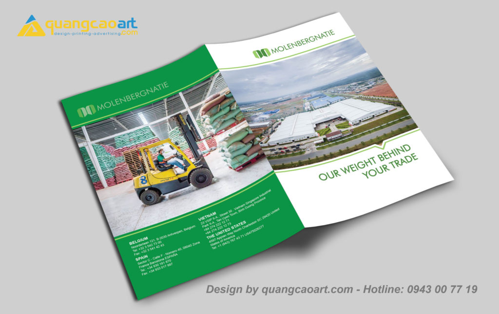 Thiết kế brochure công ty Molenbergnatie Vietnam